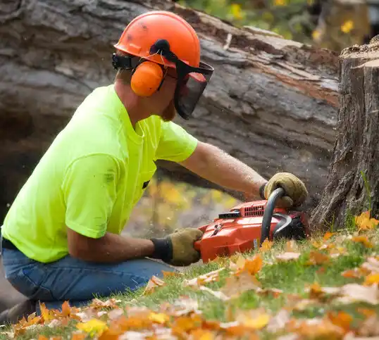 tree services Hide-A-Way Hills